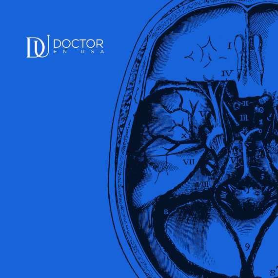 CURSO USMLE COMPLETO