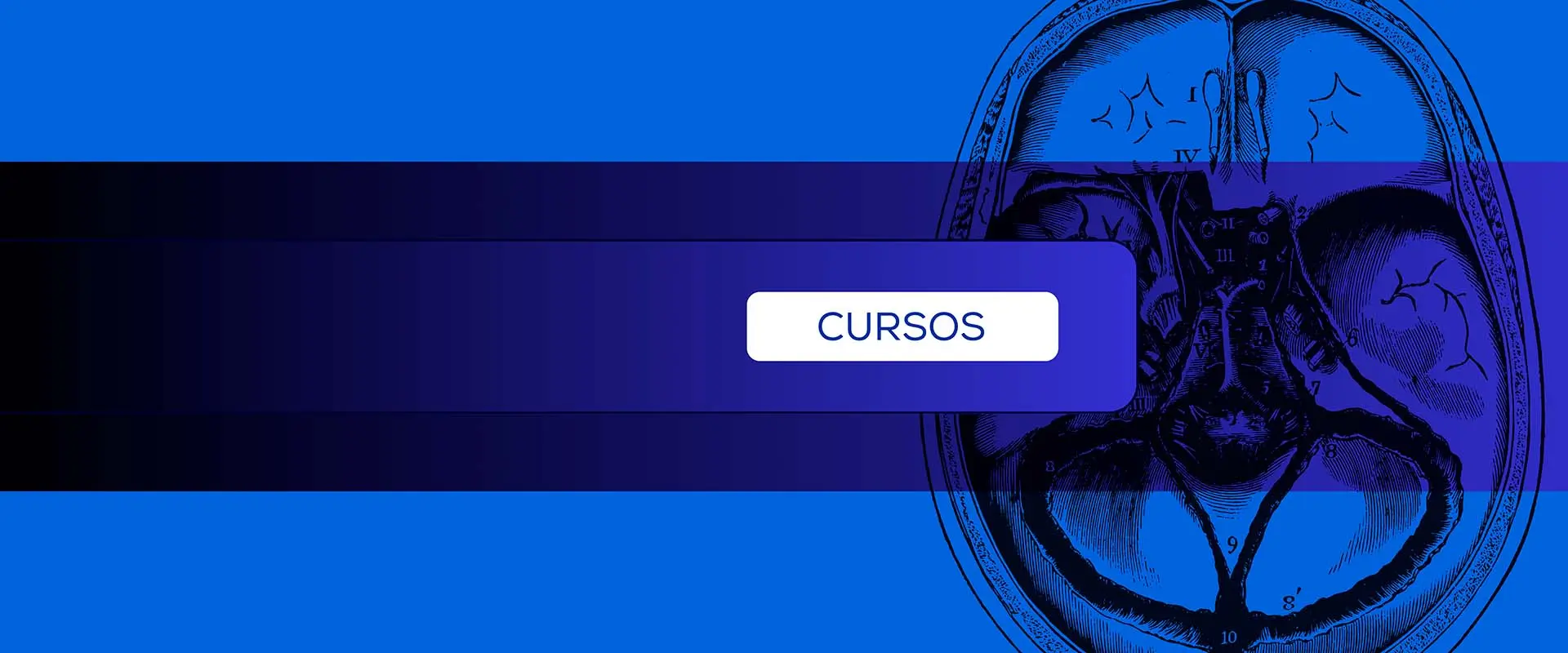 Banner para indicar pagina de los cursos de Doctor en USA
