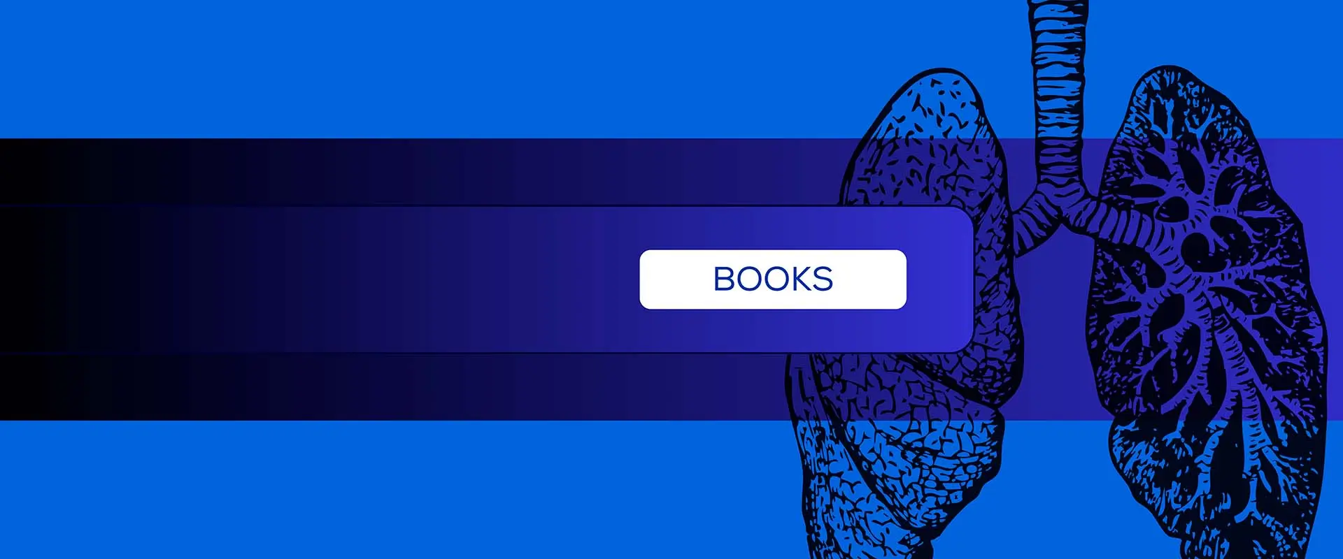 Banner para egresar a los libros