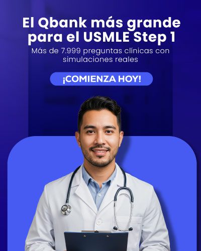 Banners web 1 2 responsive