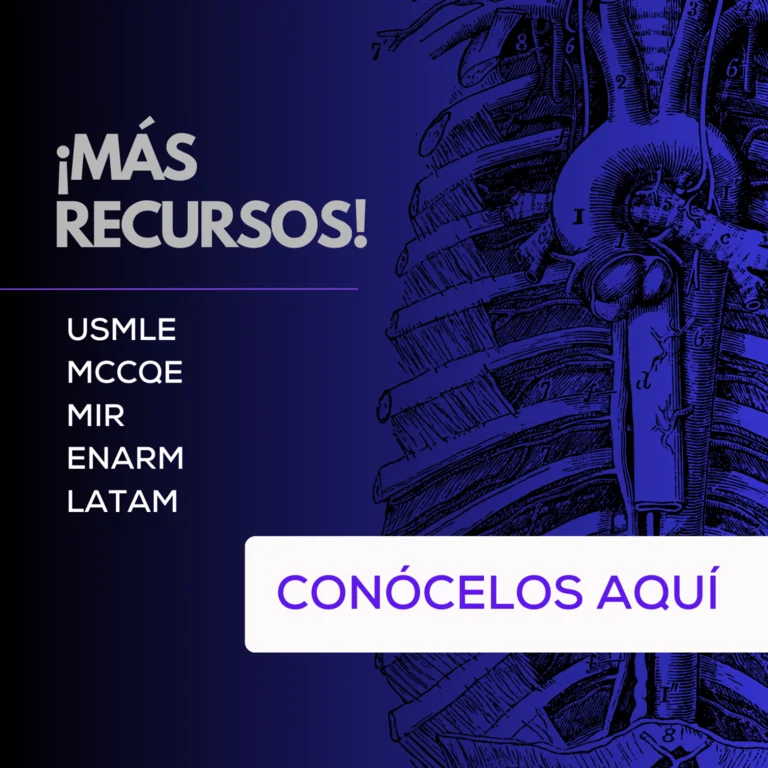 CEL WEB BANNERS