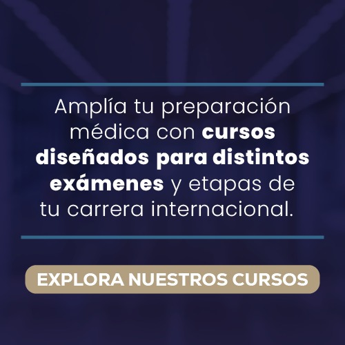 explora nuestros cursos movil